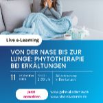 Von der Nase bis zur Lunge: Phytotherapie bei Erkältungen	